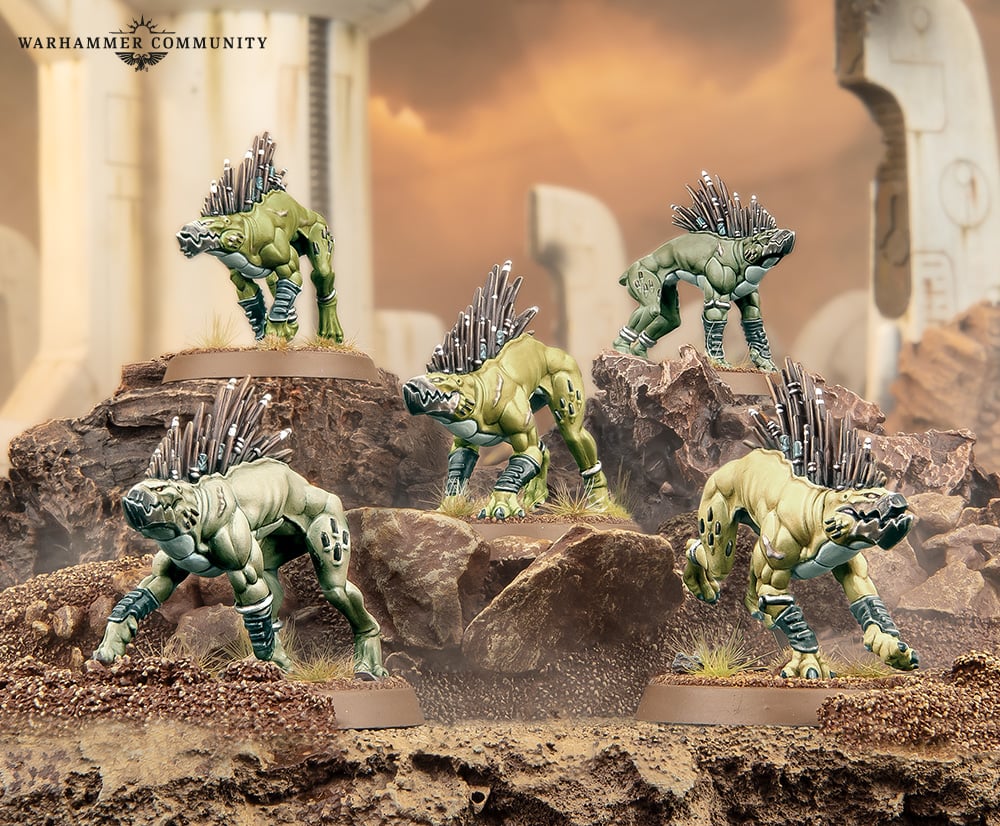 The new Kroot Hounds box set from Games Workshop, which features five models.